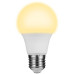 Switched 7W A60 Light Bulb E27 - Warm White
